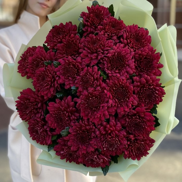 25 красных хризантем Ламира