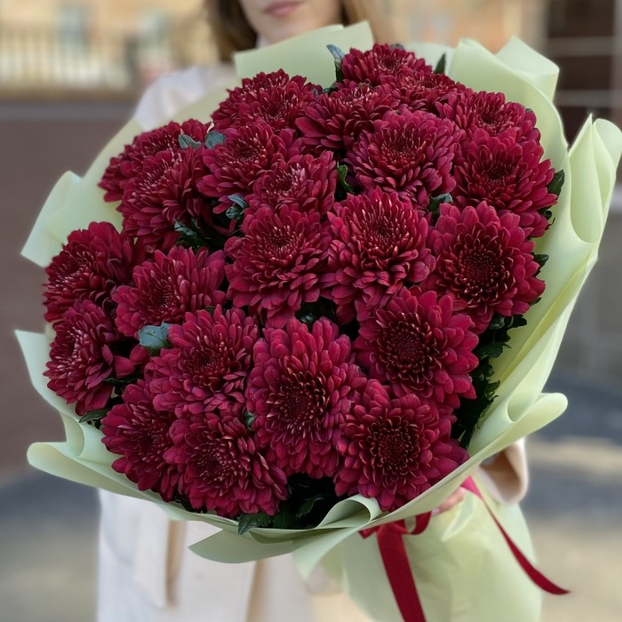 25 красных хризантем Ламира