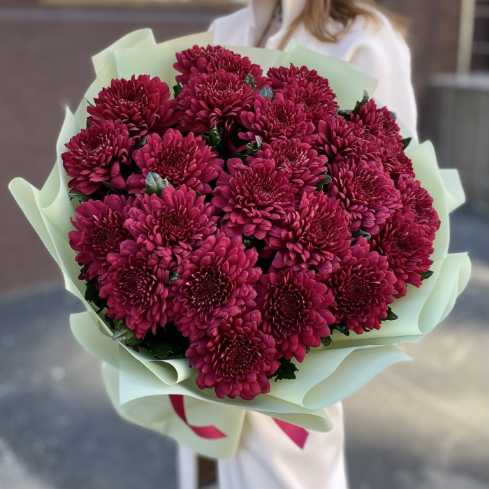25 красных хризантем Ламира