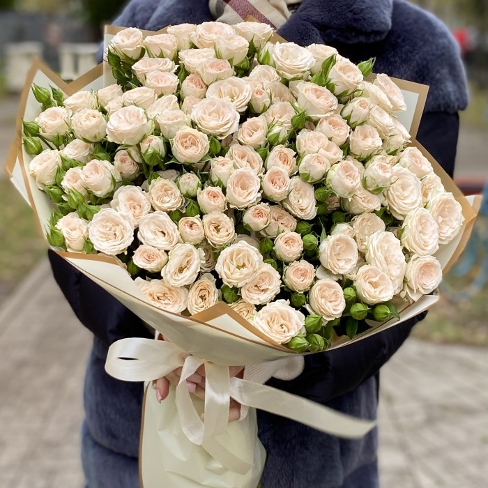25 кремовых кустовых роз Рослин