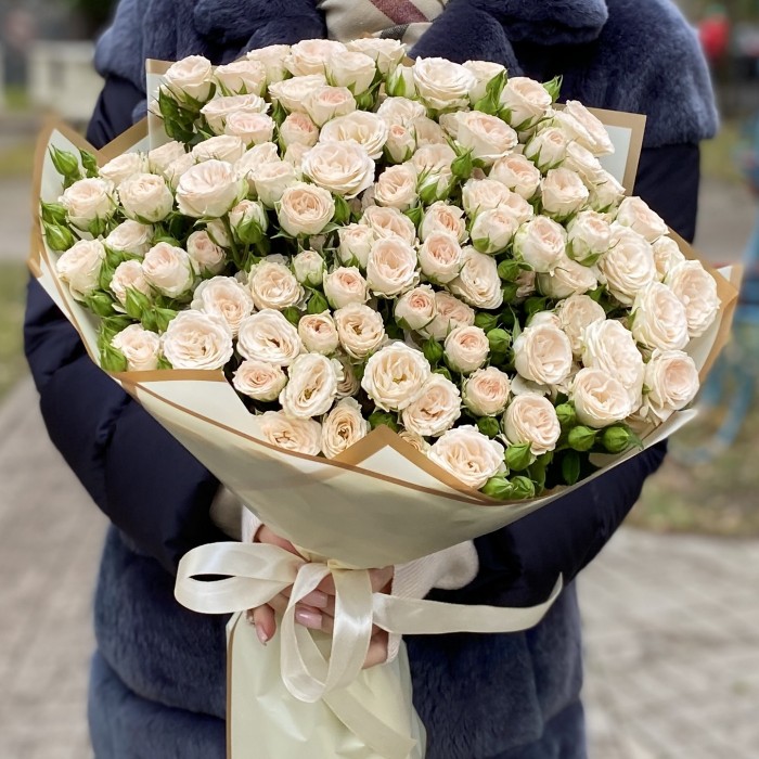 25 кремовых кустовых роз Рослин 40см