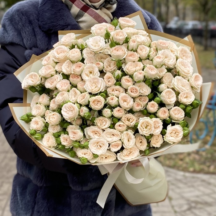 25 кремовых кустовых роз Рослин 40см