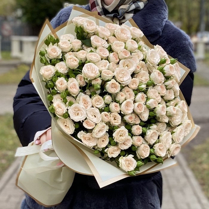 25 кремовых кустовых роз Рослин 40см