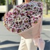 25 кустовых хризантем Саба