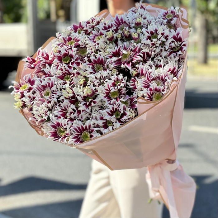 25 кустовых хризантем Саба