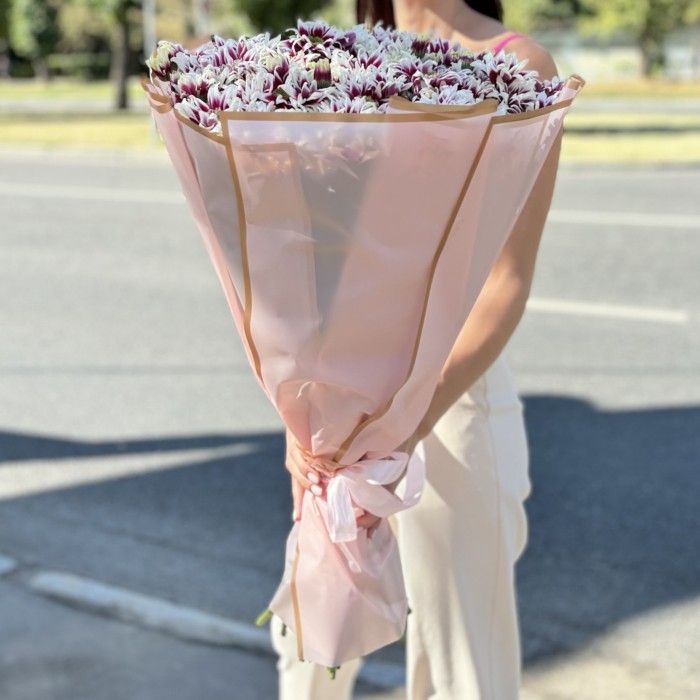 25 кустовых хризантем Саба