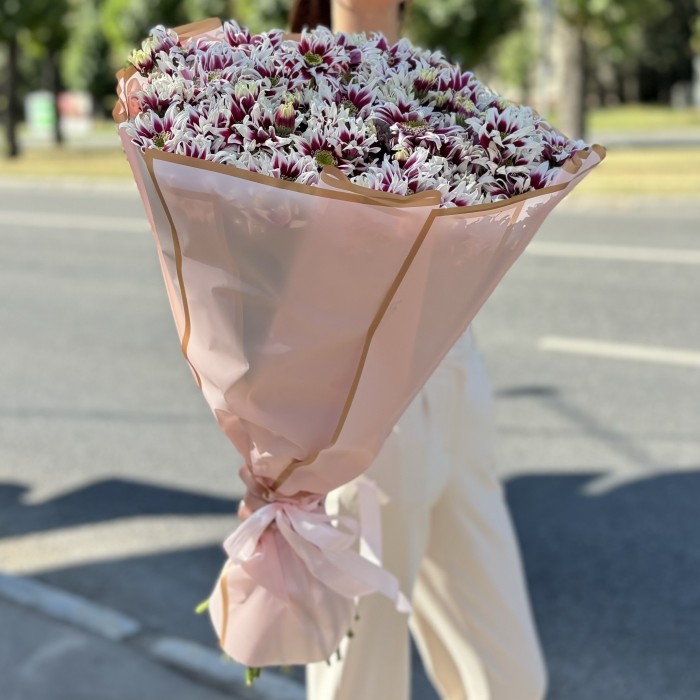 25 кустовых хризантем Саба