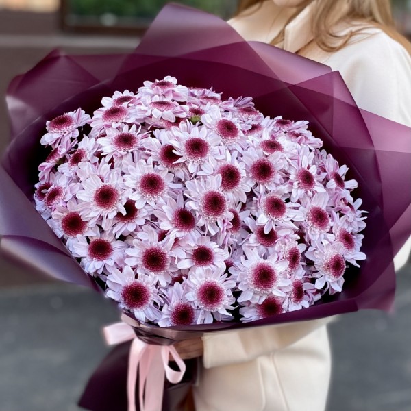 25 кустовых хризантем Стреза