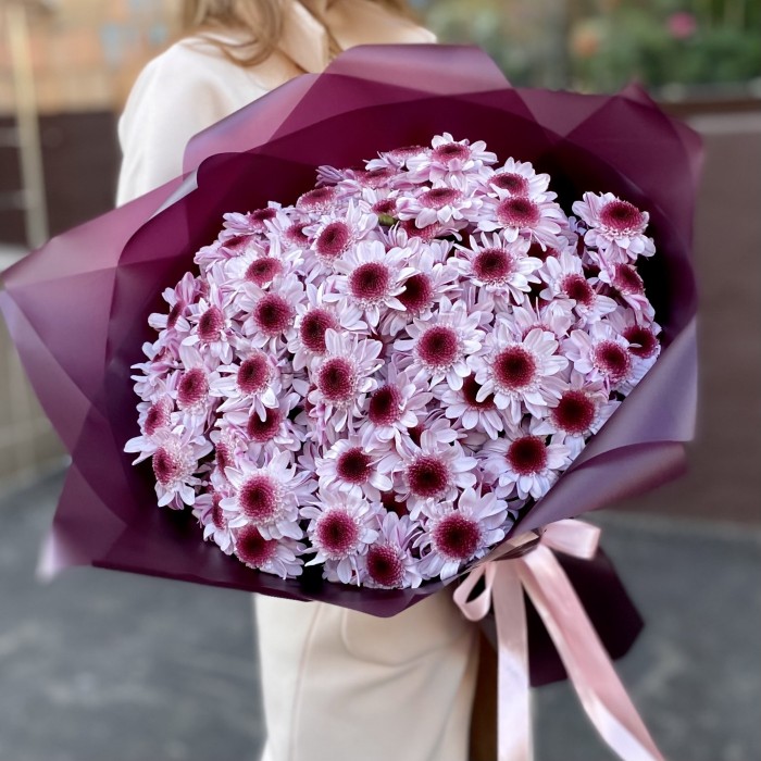 25 кустовых хризантем Стреза