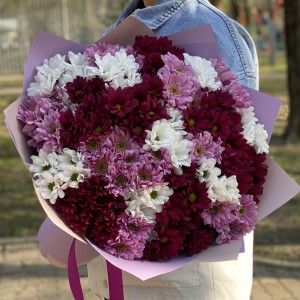 25 кустовых хризантем микс в упаковке