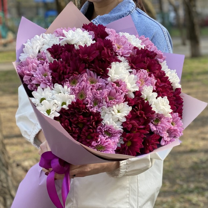 25 кустовых хризантем микс в упаковке