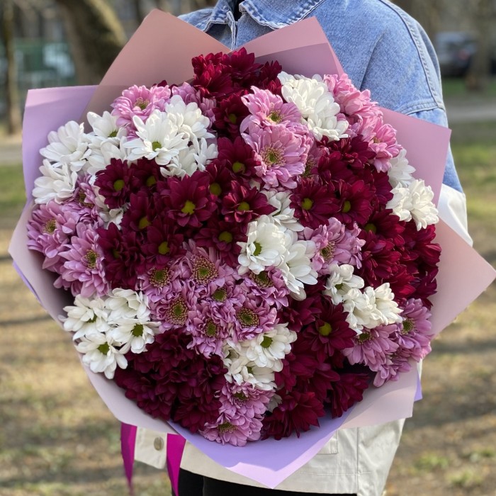 25 кустовых хризантем микс в упаковке
