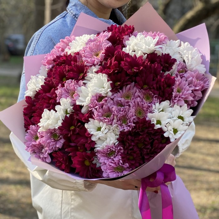 25 кустовых хризантем микс в упаковке