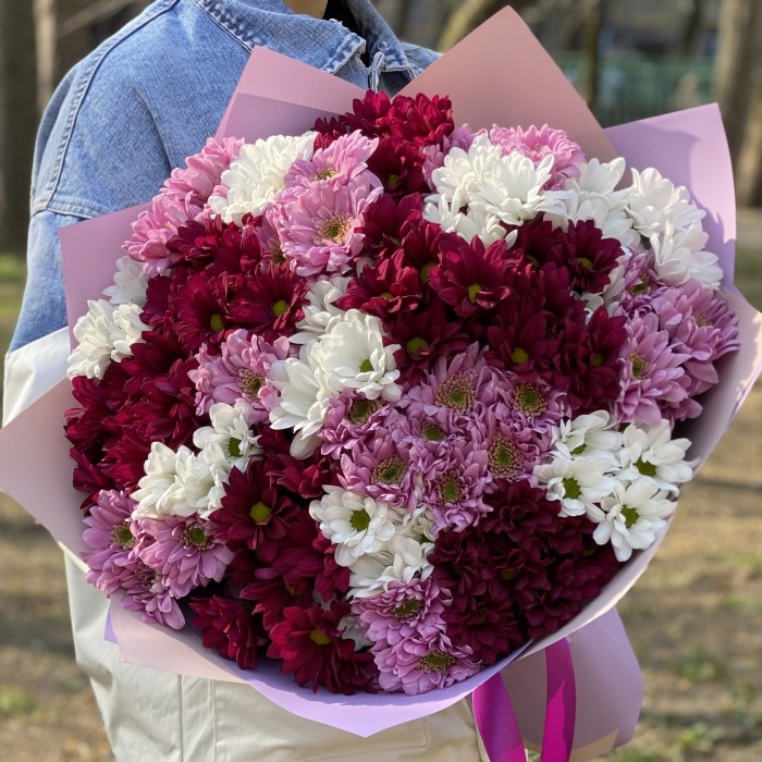 25 кустовых хризантем микс в упаковке