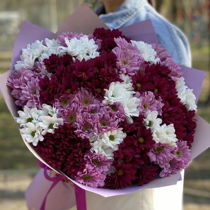 25 кустовых хризантем микс в упаковке