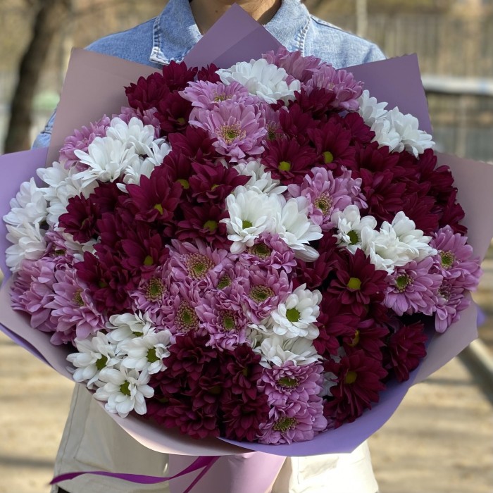 25 кустовых хризантем микс в упаковке