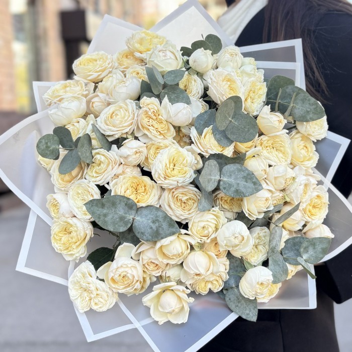 25 кустовых пионовидных кремовых роз Джульетта