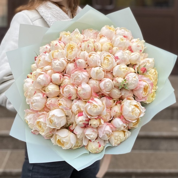 25 кустовых пионовидных роз Принцесса Суки