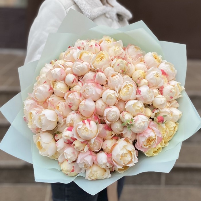 25 кустовых пионовидных роз Принцесса Суки