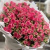 25 кустовых роз Рупски 70 см