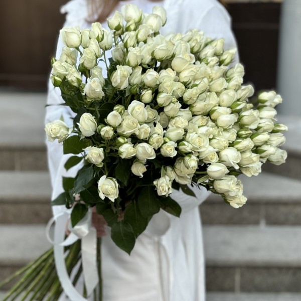 25 кустовых роз сорта Сноу Бабл 80 см