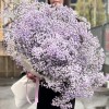 25 лавандовых гипсофил