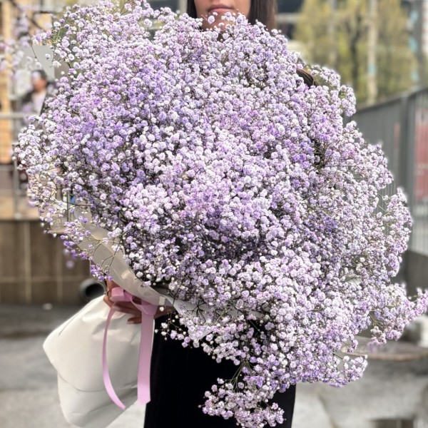 25 лавандовых гипсофил