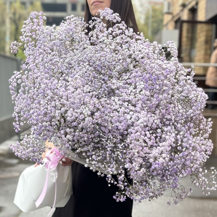 25 лавандовых гипсофил