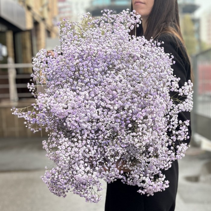 25 лавандовых гипсофил