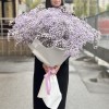 25 лавандовых гипсофил