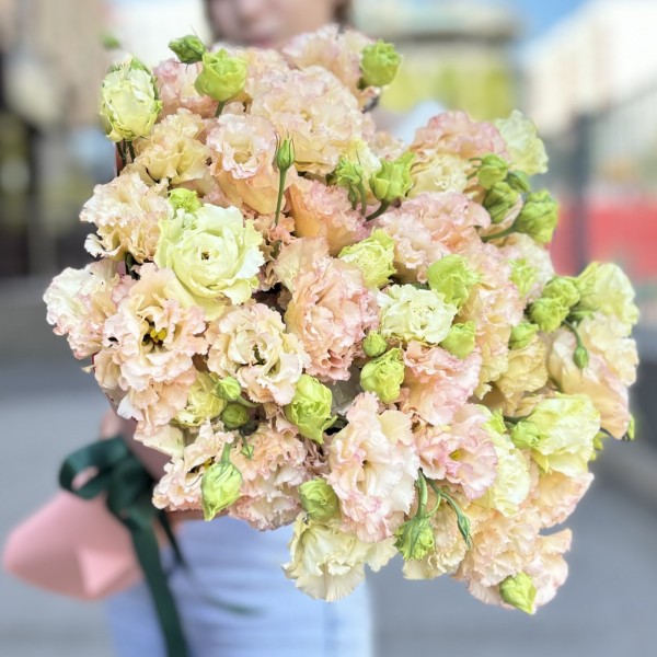 25 махровых эустом Шампань