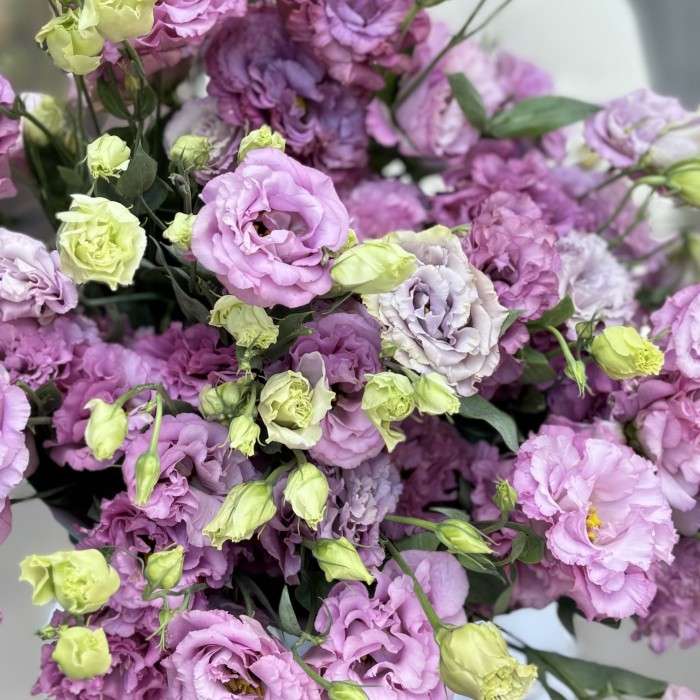 25 махровых лавандовых эустом