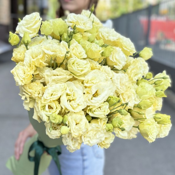 25 махровых кремовых эустом