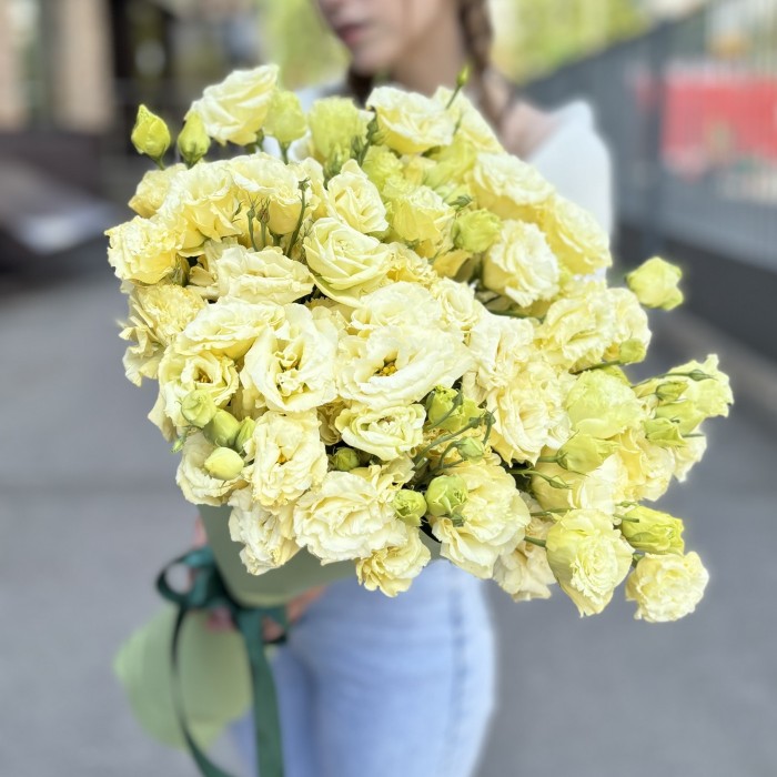 25 махровых кремовых эустом