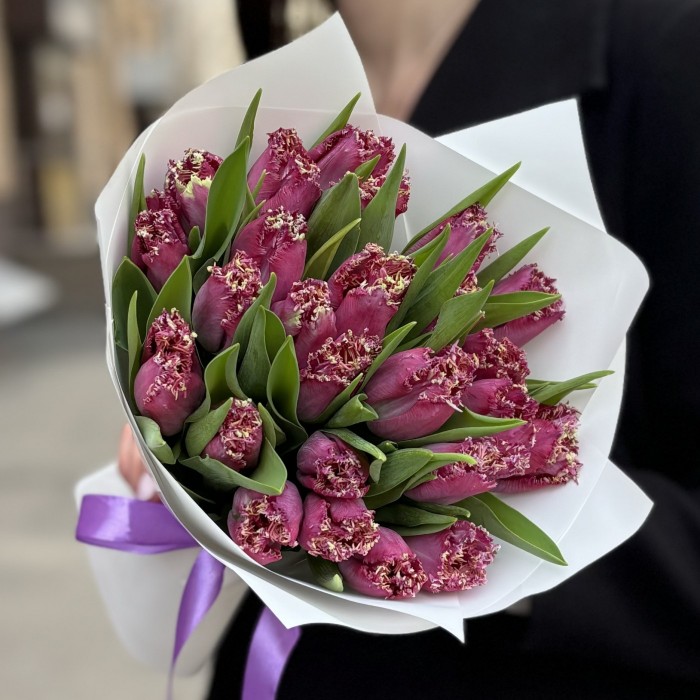 25 махровых темно-розовых тюльпанов в упаковке