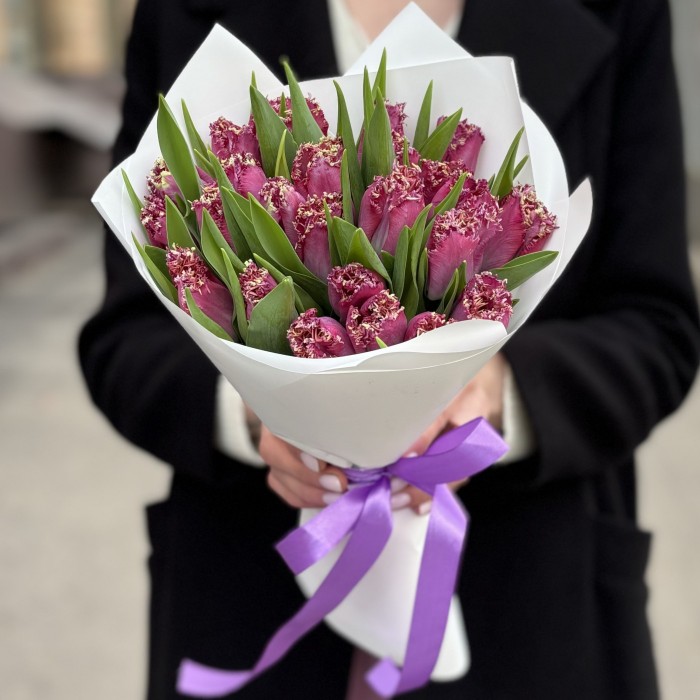 25 махровых темно-розовых тюльпанов в упаковке