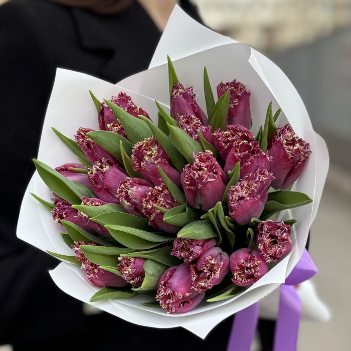 25 махровых темно-розовых тюльпанов в упаковке