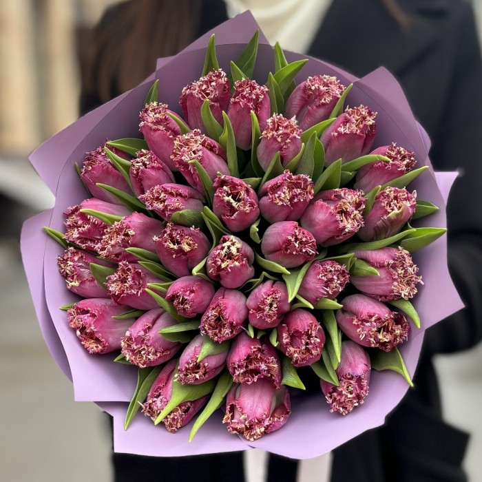 35 махровых темно-розовых тюльпанов в упаковке