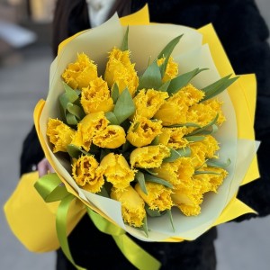 25 махровых желтых тюльпанов