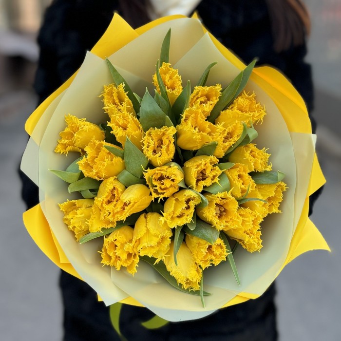 25 махровых желтых тюльпанов