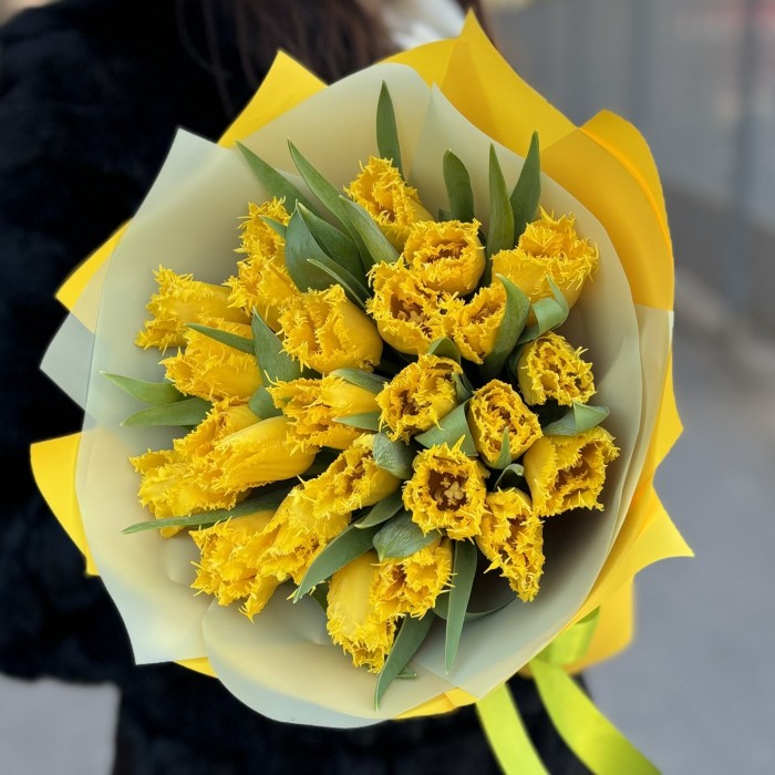 25 махровых желтых тюльпанов