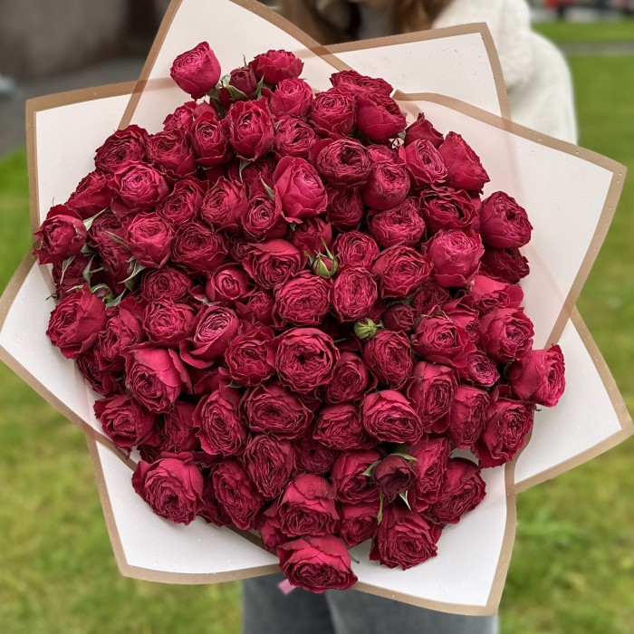 25 малиновых кустовых пионовидных роз Пати Трендсеттер