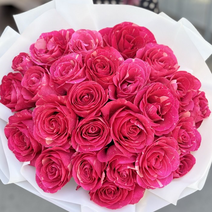 25 малиновых роз Пандора