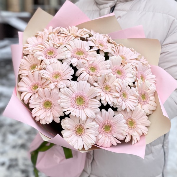 25 нежно-розовых гербер