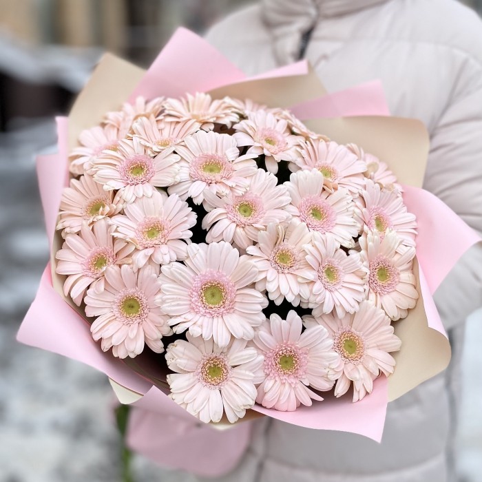 25 нежно-розовых гербер