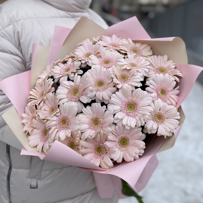 25 нежно-розовых гербер