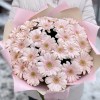 25 нежно-розовых гербер