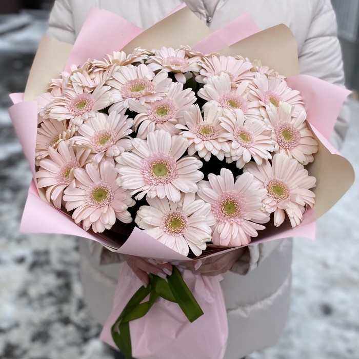 25 нежно-розовых гербер