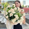 25 персиковых гвоздик Эппл Ти в упаковке