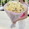 25 персиковых кустовых хризантем Балтика